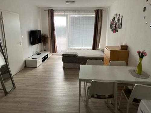 Prostejov Apartment | Beautiful 2 Bedroom Apartment