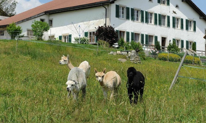 Muriaux Apartment | Beautiful apartment for 4 guests with WIFI, balcony, pets allowed and parking