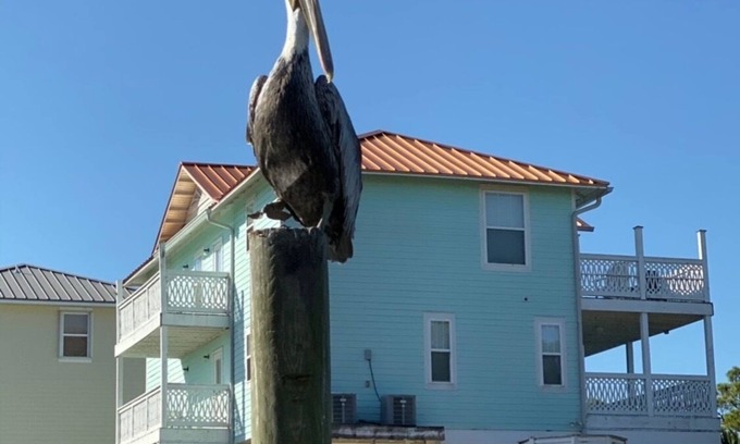 Crawfordville House | Beautiful Spacious Beach Home with available boat dock