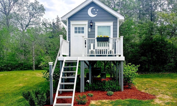Holly House | Beautiful Treehouse Under The Stars Near Wolverine, Michigan