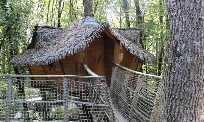 Salles-en-Toulon House | Beauty Park - Squirrel Cabin 4 people