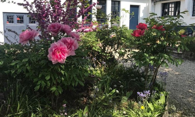 Sterrebeek Bed & Breakfast | Bed and Breakfast Ros & Marc