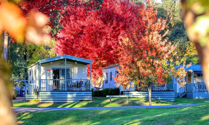 Beechworth Resort | Beechworth Lake Sambell Caravan Park