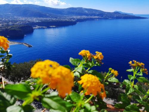 Monte Chiaro Apartment | Bella Vista House-Sorrento coast - free parking-solarium