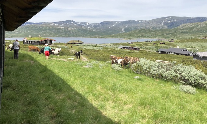 Hemsedal Cabin | Berghütte in Hemsedal Vavatn- Einer der Malerischsten Destinationen in Norwegen!