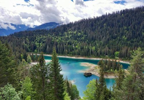 Flims Apartment | Bergstudio I Flims I Laax I Ski I Caumasee