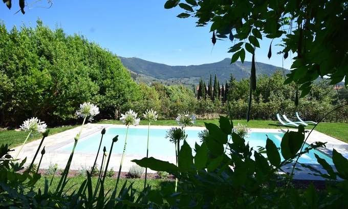 Calci Other | Between olive grove and wide lawn, 1700's farmhouse