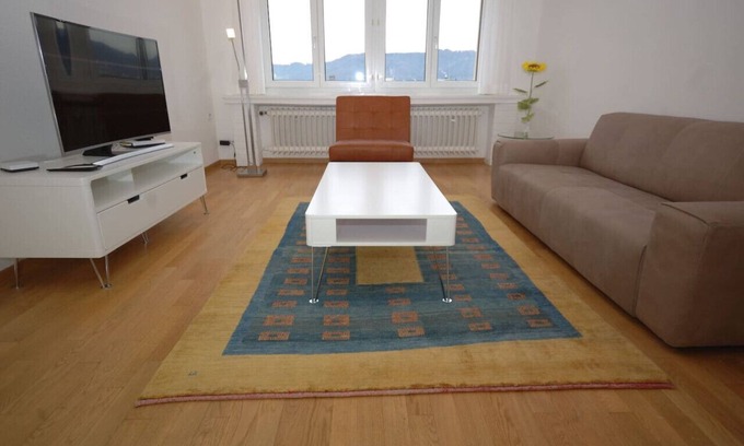 Muhlebach Apartment | Big 1BR apartment in the center (Mill 3.55)