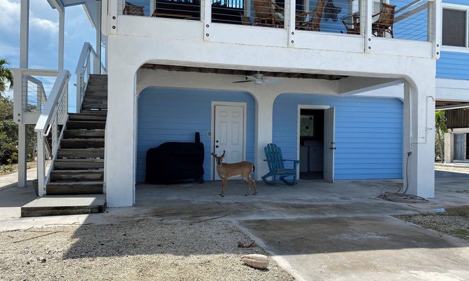 Big Pine Key House | Big Pine Key House 4/2 with 75’ dock and a stunning bay view.