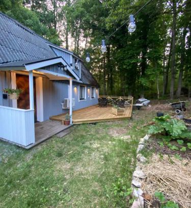Asarum House | Björnamåla stuga