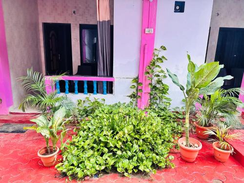 Canacona House | Blue Mirage Palolem Goa