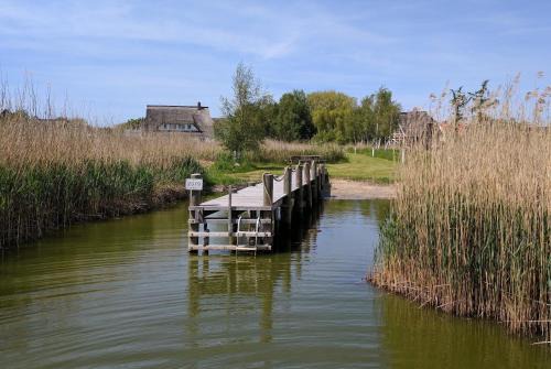 Born auf dem Darss Apartment | Boddenland 3