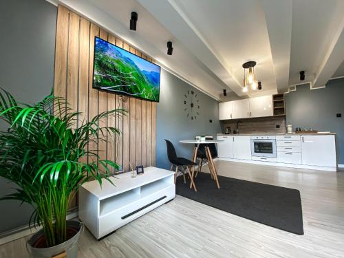 Torun Apartment | BP Apartment VI