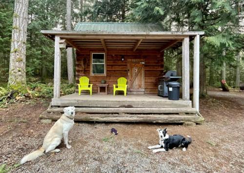 Regional District of Nanaimo House | Broad Axed Rustic Log Cabin with Cozy Woodstove