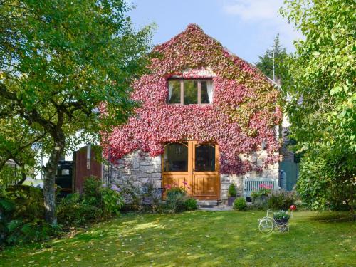 Mold House | Bryn Dedwydd Cottage