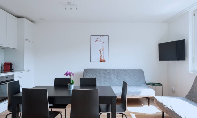 Basel City Centre Apartment | BS Squirrel V - Messe HITrental Apartment