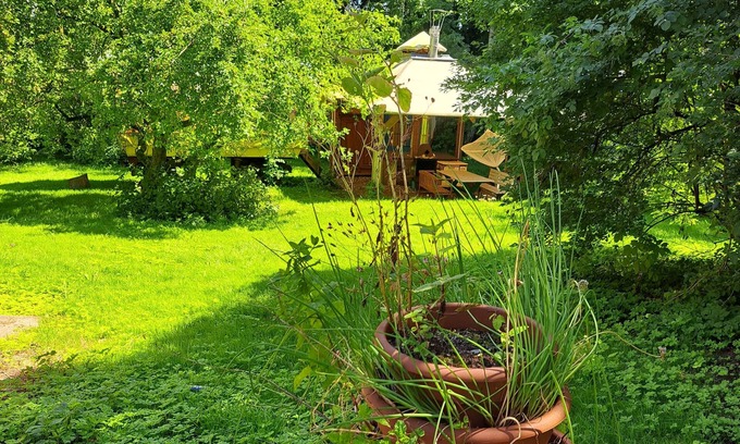 Carinerland House | Bungalow for 6 guests with 100m² in Danneborth (58272)