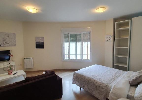 Barrio de la Vega Apartment | Cómodo, funcional y amplio estudio, A4