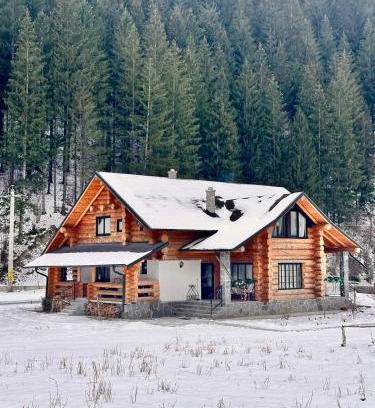Brosteni House | Căsuța ta de la munte