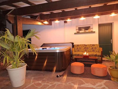 Roseraie Villa | Cœur Toulouse Piscine et Spa