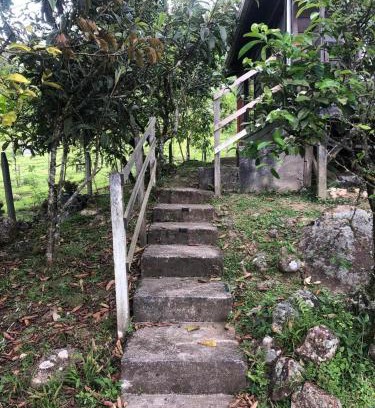 Santa Cruz de Turrialba House | Cabaña El Bosque