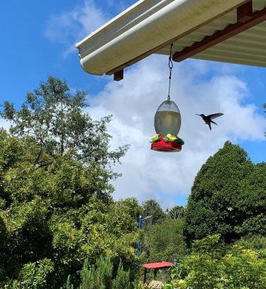 Copey Ski Chalet | Cabaña Mamá Elia