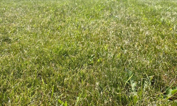 Fazouro Cabin | Cabañas Camiño do Mar