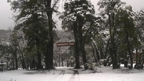 Pinto Ski Chalet | Cabañas Mawidantu Lemu