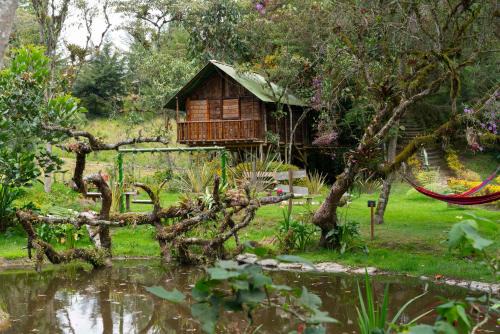 San Pedro Other | Cabañas Rusticas El Viejo Tambo