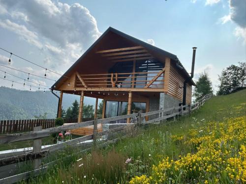 Horea Ski Chalet | Cabana de sub mesteceni