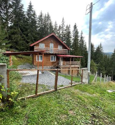Muntele Baisorii Cabin | Cabana dintre brazi