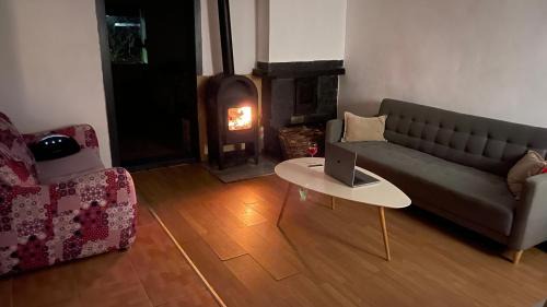 Lopadea Noua House | Cabana Nicu Odverem