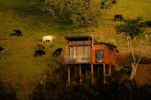 Goncalves Ski Chalet | Cabana Tekoá - Teto de vidro e telão de cinema