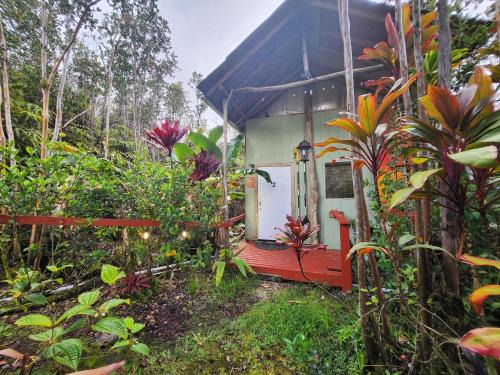 Fern Forest House | Cabin 2-Rustic private stay near Volcano National Park