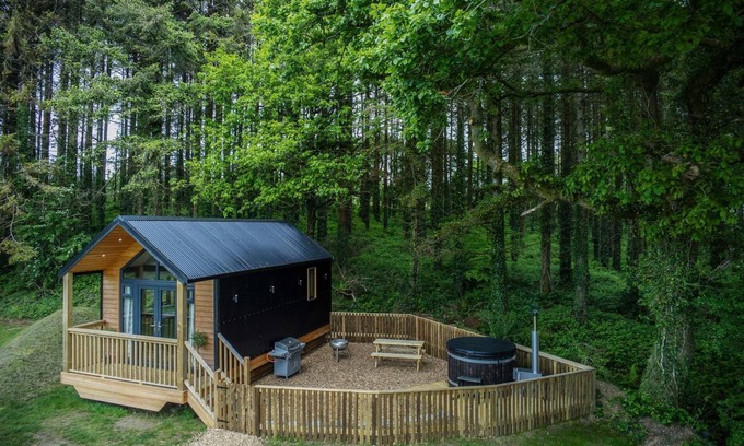 Kilgetty Apartment | Cabin In The Woods - 1 Bedroom Lodge - Kilgetty