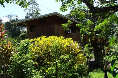 Cahuita Cabin | Cabinas Los Tucanes