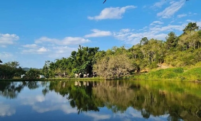 Camboriu Cottage | Camboas Atlantic Forest Country House