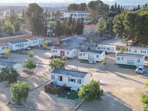 Locaiba Other | Camping Albox