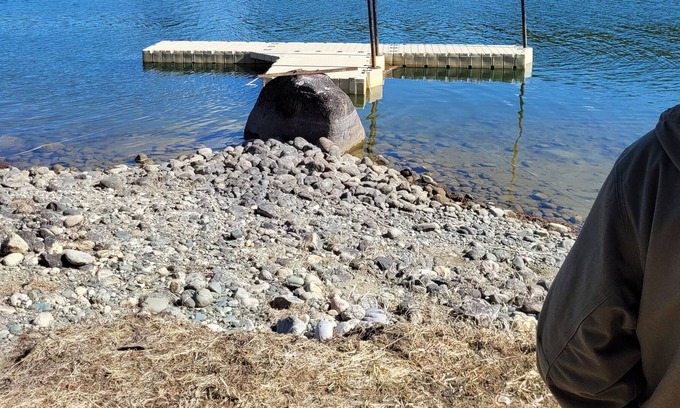 Cusick RV Rental | Camping at the River