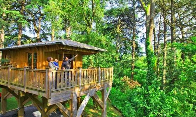 Albi House | Camping - Piscine - ef0fdb