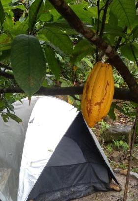 Jardim Sao Miguel Other | Camping - Recanto do Leâo