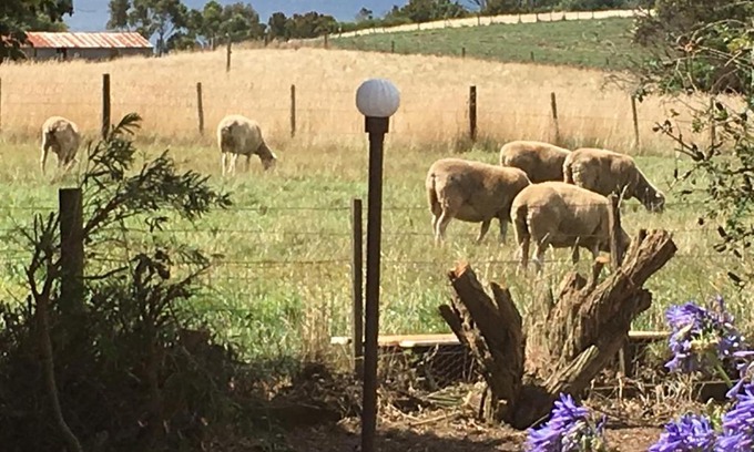 Table Cape Bed & Breakfast | Cape View B and B