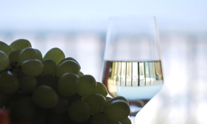 Muggia Apartment | Casa al mare