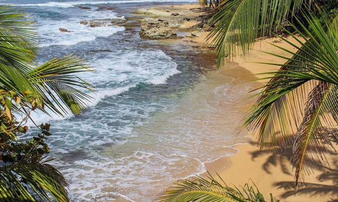 Manzanillo House | Casa Auratus