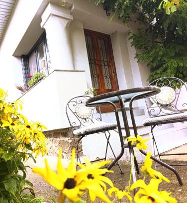 Baia Mare Villa | Casa cu trandafiri