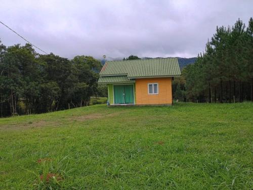 Doutor Pedrinho House | Casa das Palmeiras