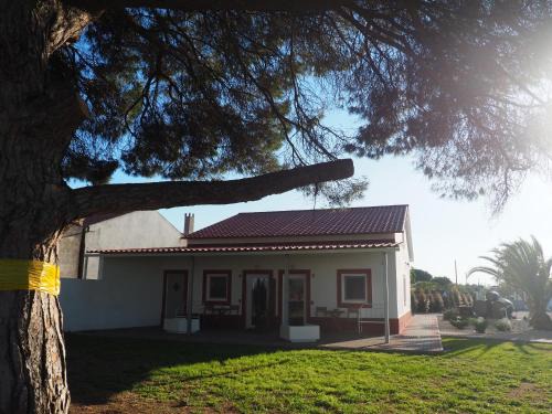 Palhais Cabin | Casa das Pipas #6
