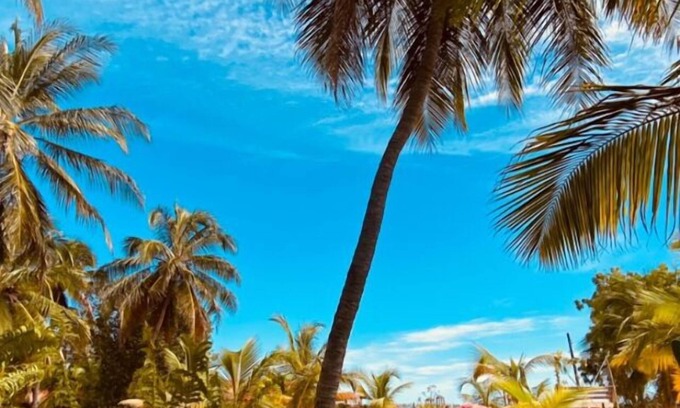 Moitas Hotel | Casa das Rendas Exclusive Bungalows