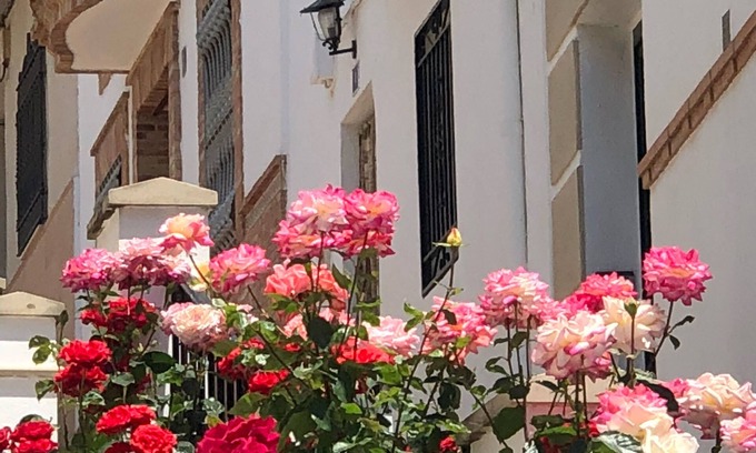 Carcheles House | CASA DE LA CAÑADA Carchelejo (Jaén) - Spain