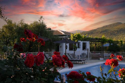 Carcabuey House | Casa de la Noria